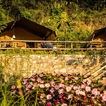 Delle Rose & Glamping Village 4*