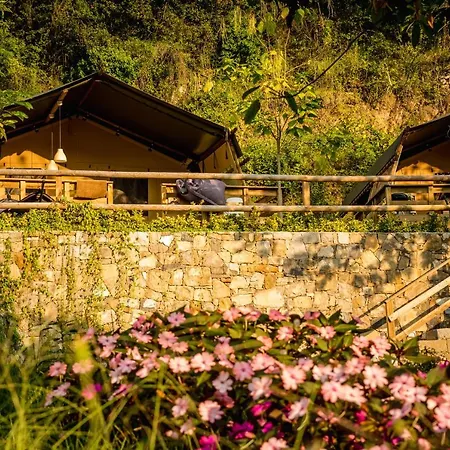 Delle Rose & Glamping Village Isolabona