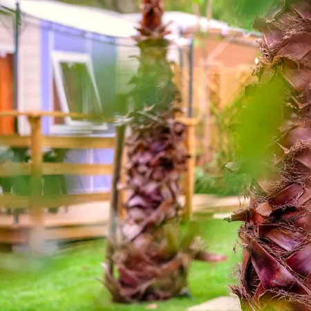 פארק נופש Delle Rose & Glamping Village 4*