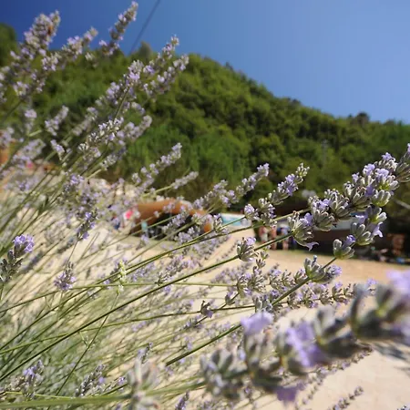 Delle Rose Camping&glamping Village 4* Isolabona