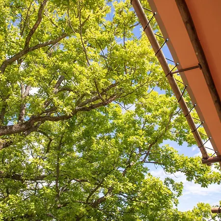 Village de vacances Delle Rose Camping&glamping Village 4*