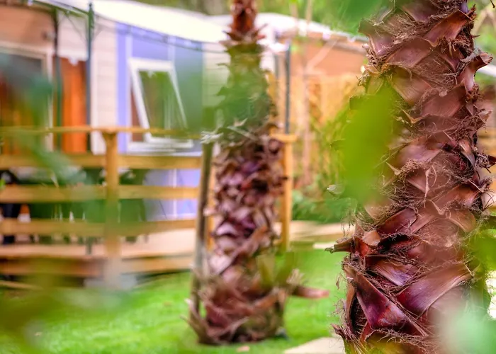 Prázdninový areál Delle Rose & Glamping Village 4*